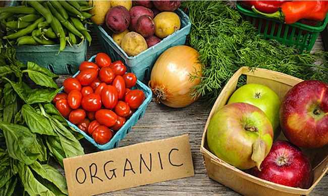 What Is the Difference Between Organic and Conventional Food?