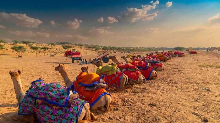 What Is the Ideal Season to Visit Rajasthan’s Deserts?