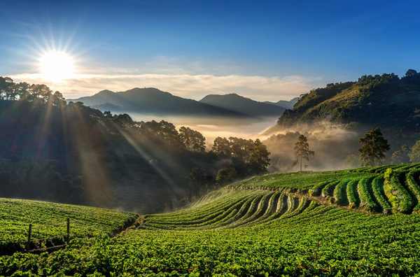 What Makes Northeast India an Underrated Travel Destination