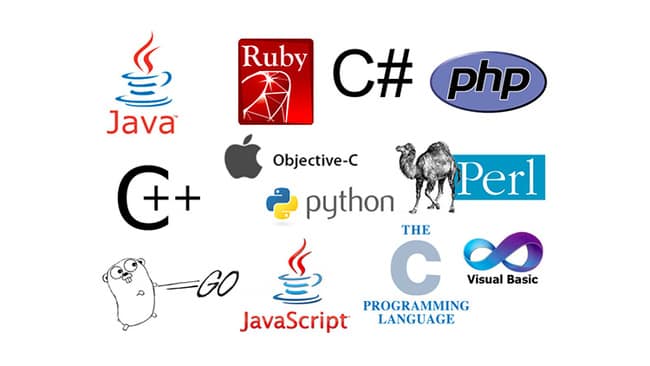 Top 10 Programming Languages to Learn in 2026
